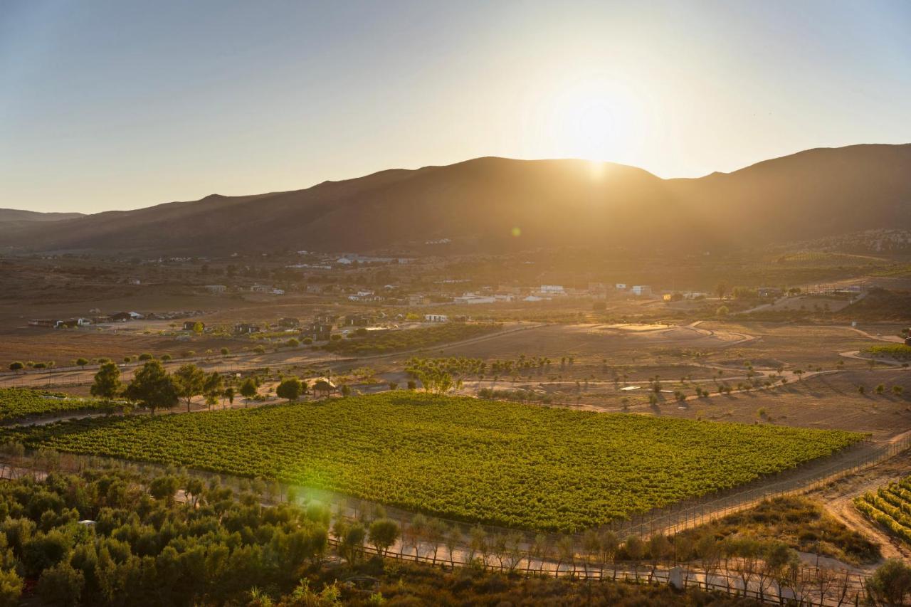 Banyan Tree Veya, Valle De Guadalupe - A Wellbeing & Wine Resort Exteriör bild